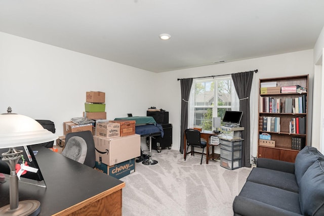 15135 W Quincy Cir, Manhattan, IL 60442 - office with carpet floors