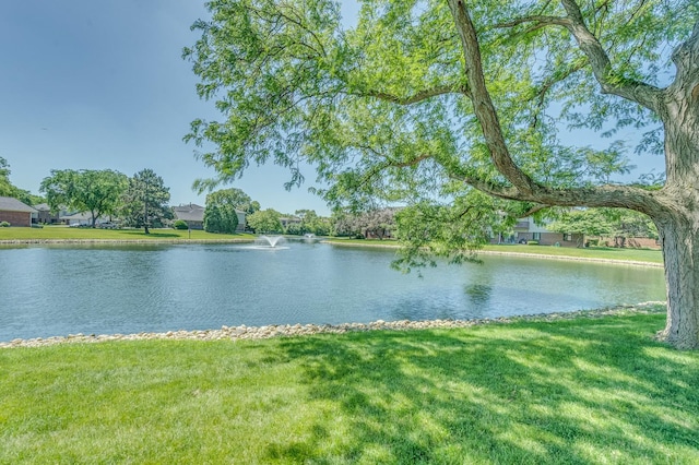 907 Cross Creek Dr N Unit Bb2, Roselle, IL 60172 - photo 22