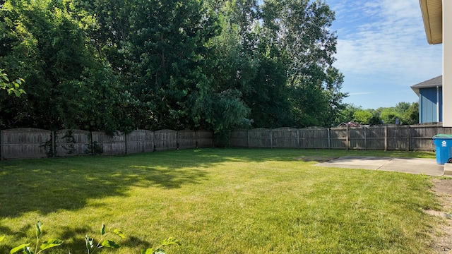 25601 Linden Ave, Monee, IL 60449 - fenced backyard with a patio area