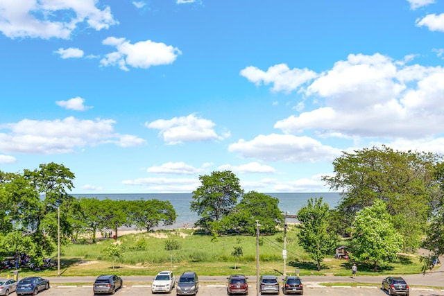 1225 W Greenleaf Ave Unit 3E, Chicago, IL 60626 - water view