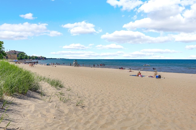 1225 W Greenleaf Ave Unit 3E, Chicago, IL 60626 - water view with local beach