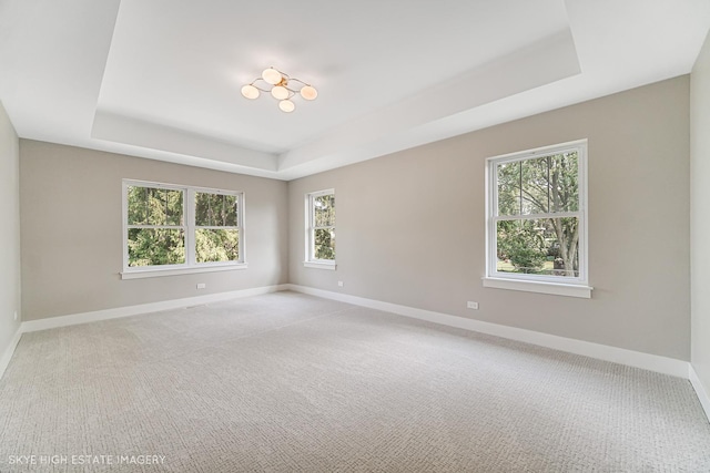 4947 Wilcox Ave, Downers Grove, IL 60515 - empty room featuring a raised ceiling and light colored carpet