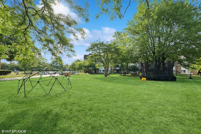 3300 N Carriageway Dr Unit 209, Arlington Heights, IL 60004 - view of home's community featuring a yard