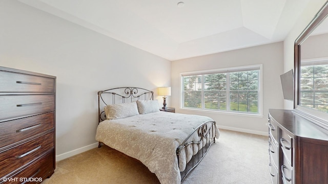1517 128th St, Lemont, IL 60439 - bedroom with light carpet and a raised ceiling