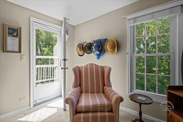 42W285 Retreat Ct Unit 2, Saint Charles, IL 60175 - sitting room featuring carpet and healthy amount of natural light