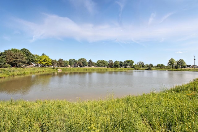 1205 Regent Dr, Mundelein, IL 60060 - photo 24