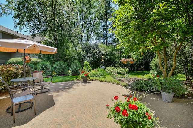 2845 Kendridge Ln, Aurora, IL 60502 - view of patio