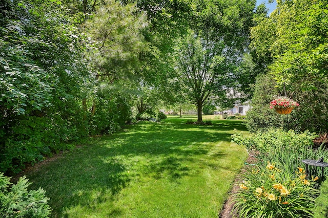 2845 Kendridge Ln, Aurora, IL 60502 - view of grassy yard