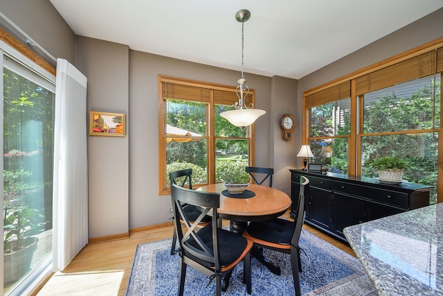 2845 Kendridge Ln, Aurora, IL 60502 - dining area featuring light wood-style flooring and healthy amount of natural light