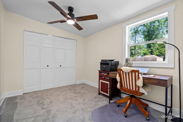 33303 Algonquin Dr, Grayslake, IL 60030 - photo 15