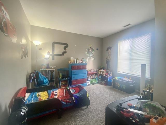 1709 Raleigh Trl, Romeoville, IL 60446 - photo 10