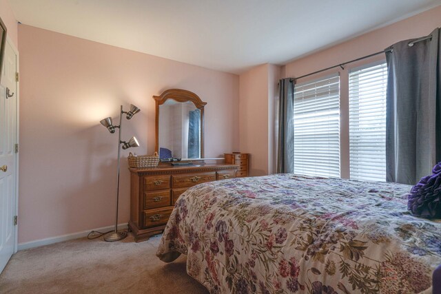 399 W Cambria Dr, Round Lake, IL 60073 - photo 15