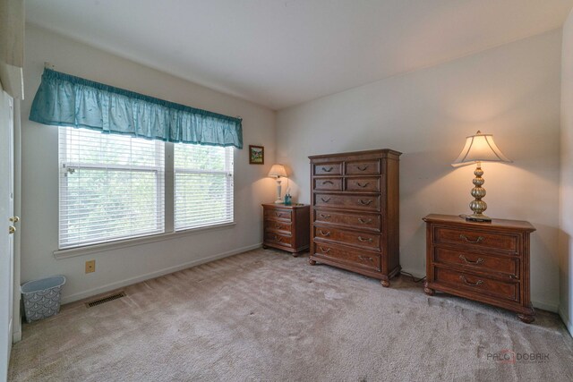 399 W Cambria Dr, Round Lake, IL 60073 - photo 18
