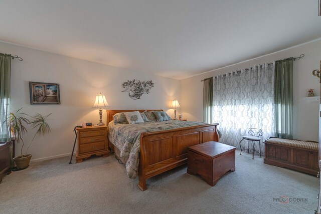 399 W Cambria Dr, Round Lake, IL 60073 - photo 19