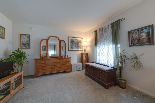 399 W Cambria Dr, Round Lake, IL 60073 - photo 20