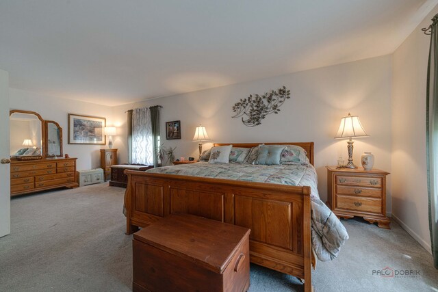 399 W Cambria Dr, Round Lake, IL 60073 - photo 21