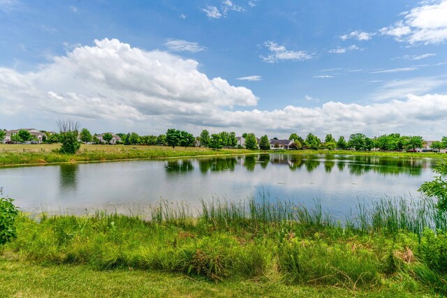 399 W Cambria Dr, Round Lake, IL 60073 - photo 29