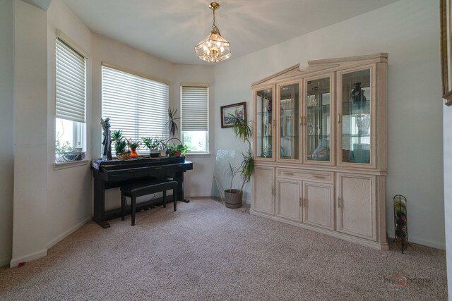 399 W Cambria Dr, Round Lake, IL 60073 - photo 6