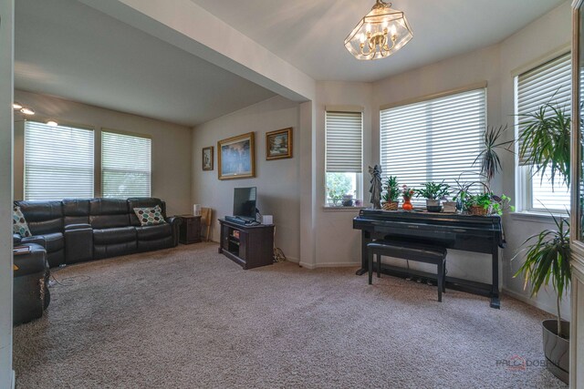 399 W Cambria Dr, Round Lake, IL 60073 - photo 7