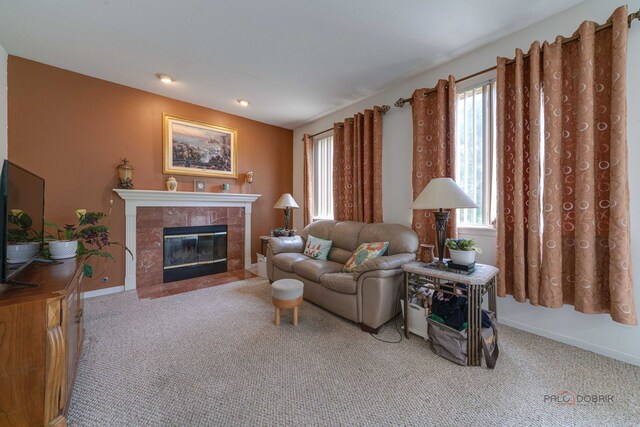 399 W Cambria Dr, Round Lake, IL 60073 - photo 8
