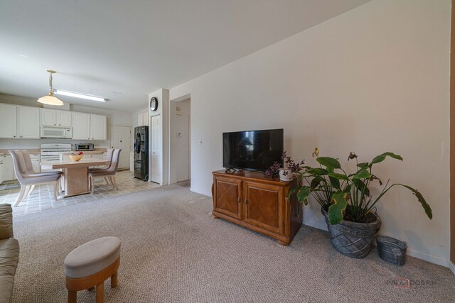 399 W Cambria Dr, Round Lake, IL 60073 - photo 9