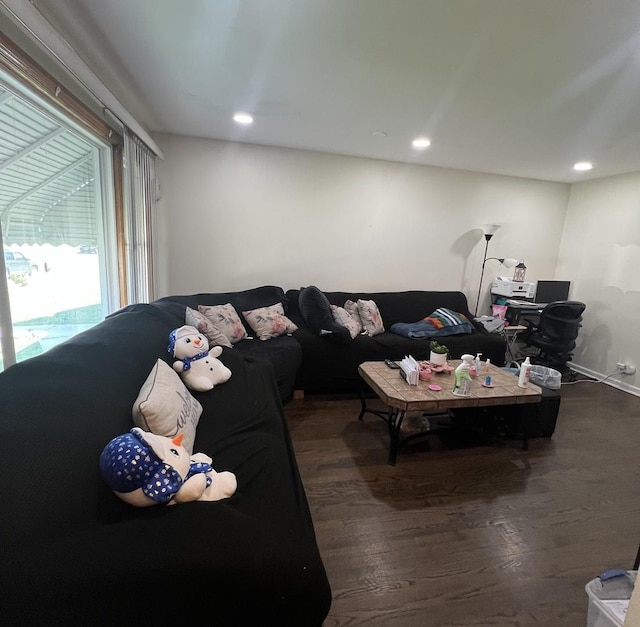 7809 S Christiana Ave, Chicago, IL 60652 - living room featuring wood finished floors and recessed lighting