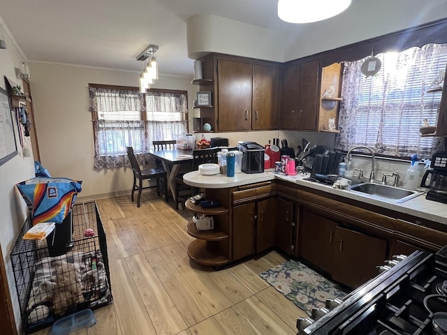 7809 S Christiana Ave, Chicago, IL 60652 - kitchen featuring open shelves, dark brown cabinetry, crown molding, light countertops, and light wood-style floors