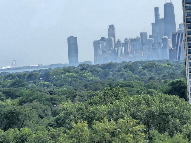 5455 N Sheridan Rd Unit 3203, Chicago, IL 60640 - view of city skyline featuring a heavily wooded area