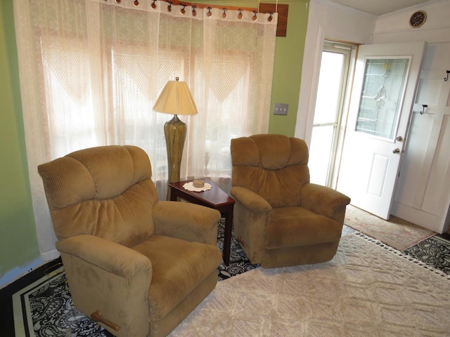 510 7th St, Mazon, IL 60444 - view of living area