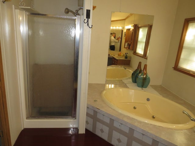 510 7th St, Mazon, IL 60444 - bathroom with a stall shower, vanity, and a tub with jets