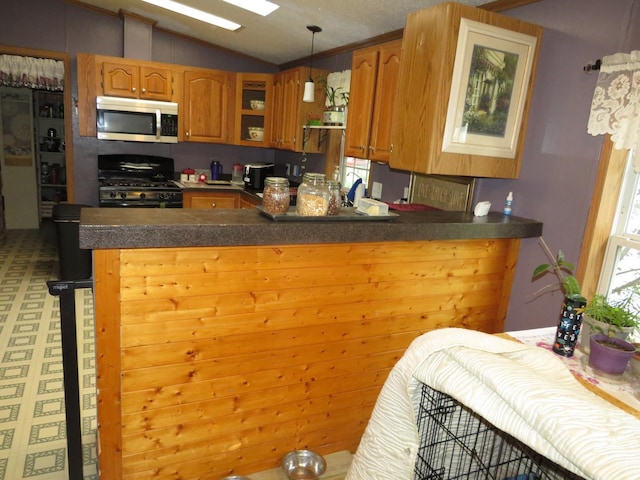510 7th St, Mazon, IL 60444 - kitchen featuring stainless steel appliances, vaulted ceiling, glass insert cabinets, a peninsula, and dark countertops