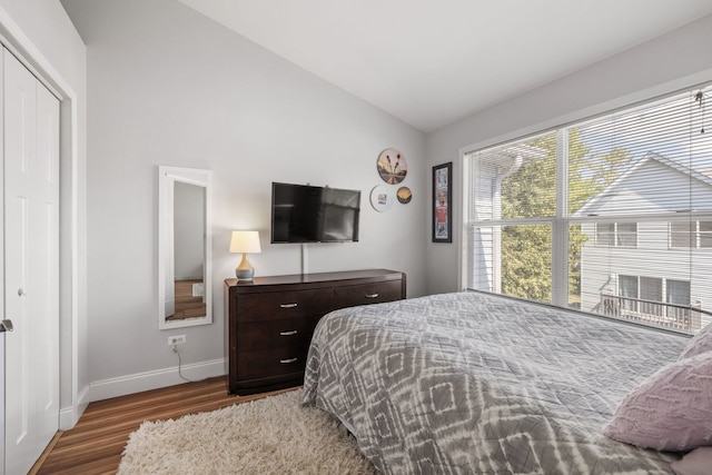 17456 Sauk Dr, Lockport, IL 60441 - bedroom featuring wood finished floors, vaulted ceiling, and a closet