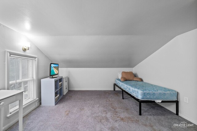 216 N River St, Batavia, IL 60510 - photo 14