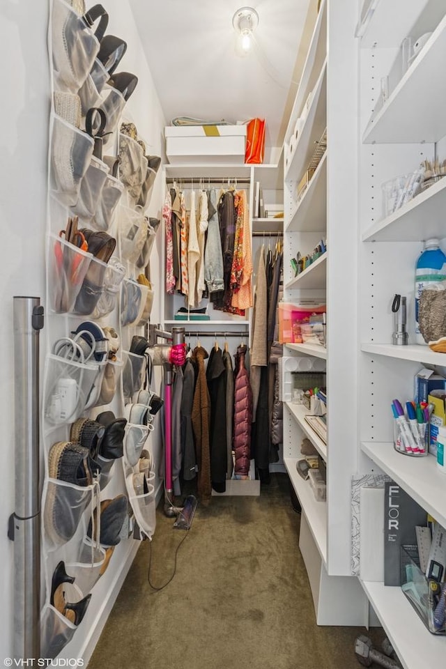 3900 N Lake Shore Dr Unit 7C, Chicago, IL 60613 - walk in closet with carpet floors
