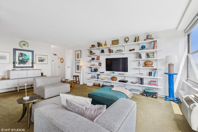 3900 N Lake Shore Dr Unit 7C, Chicago, IL 60613 - view of carpeted living area