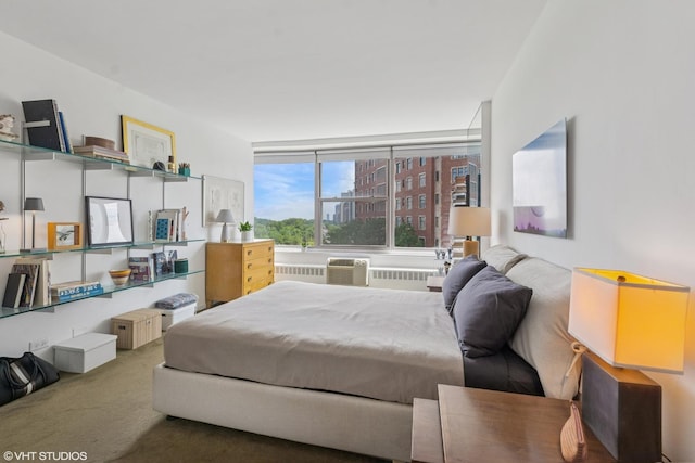 3900 N Lake Shore Dr Unit 7C, Chicago, IL 60613 - carpeted bedroom featuring radiator heating unit