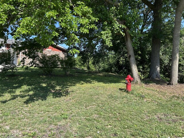 194 S Collins St, South Elgin, IL 60177 - photo 48