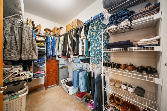 990 Fox Trail Ln, Somonauk, IL 60552 - spacious closet with carpet flooring