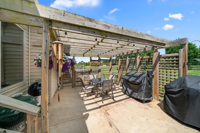 990 Fox Trail Ln, Somonauk, IL 60552 - view of patio with outdoor dining area and grilling area