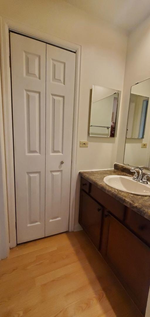 5100 Carriageway Dr Unit 305-2, Rolling Meadows, IL 60008 - bathroom with vanity and wood finished floors
