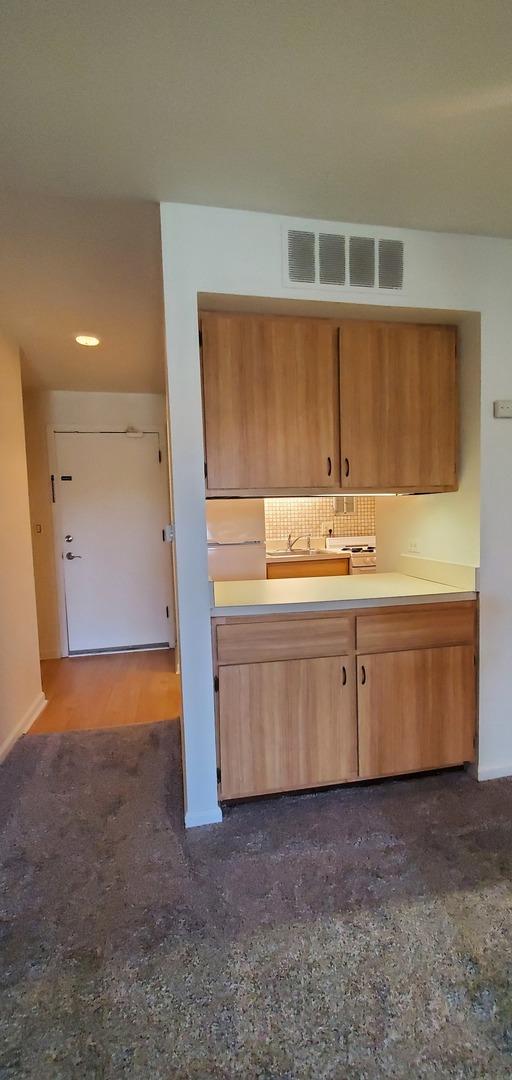 5100 Carriageway Dr Unit 305-2, Rolling Meadows, IL 60008 - kitchen with freestanding refrigerator and light countertops