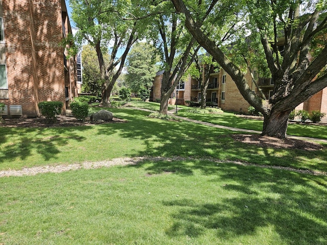 520 Burning Tree Ln Unit 111, Naperville, IL 60563 - view of green lawn