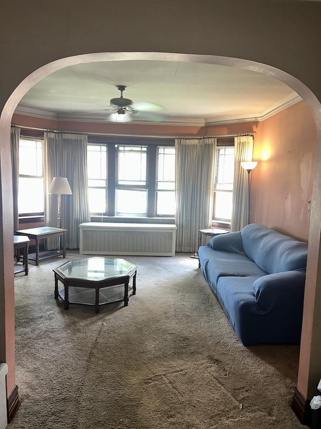 3612 E Ave, Berwyn, IL 60402 - living room featuring arched walkways, ornamental molding, a ceiling fan, radiator heating unit, and carpet flooring