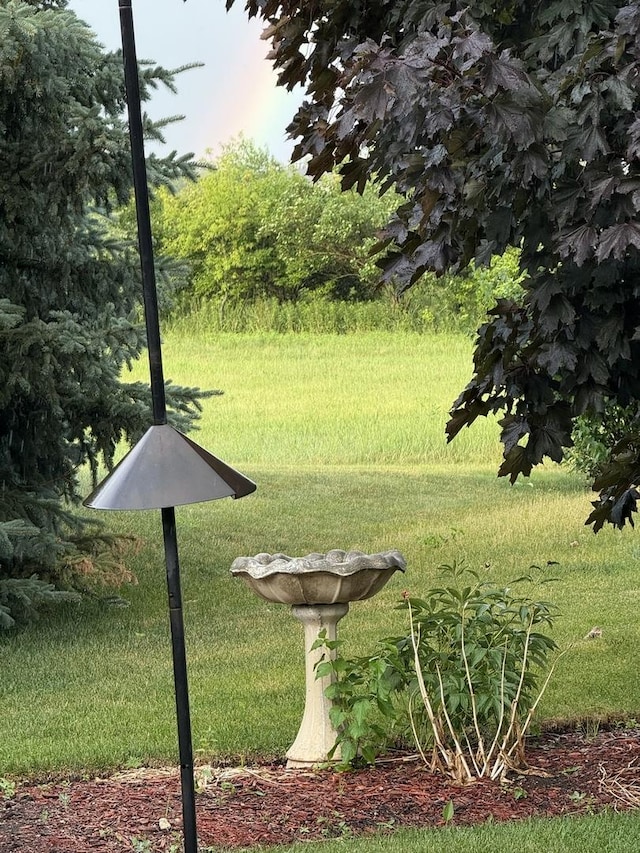 13044 Redstone Dr, Huntley, IL 60142 - view of yard