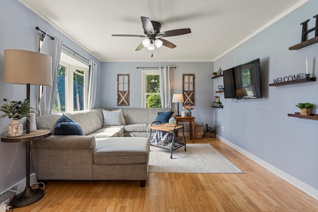 405 N Vorcey St, Tolono, IL 61880 - living area featuring ceiling fan, light wood-style flooring, and ornamental molding