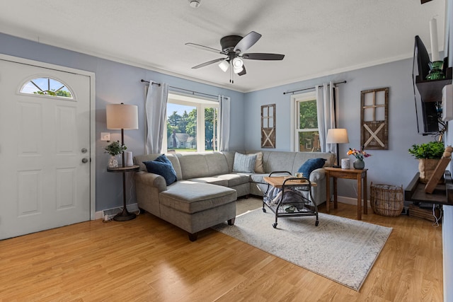 405 N Vorcey St, Tolono, IL 61880 - living area featuring plenty of natural light, a ceiling fan, and light wood-style floors