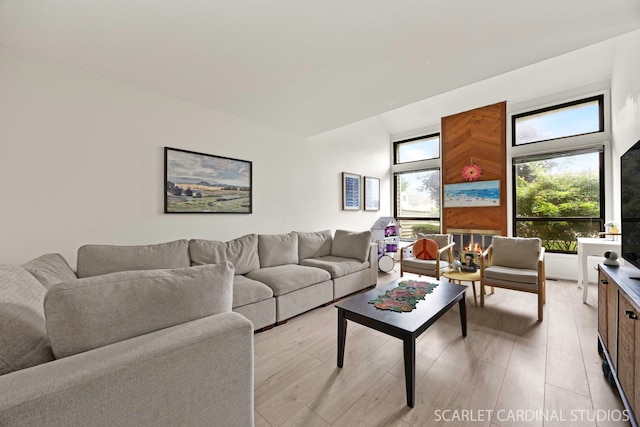 4S768 Pinehurst Dr, Naperville, IL 60563 - living area with light wood-style floors