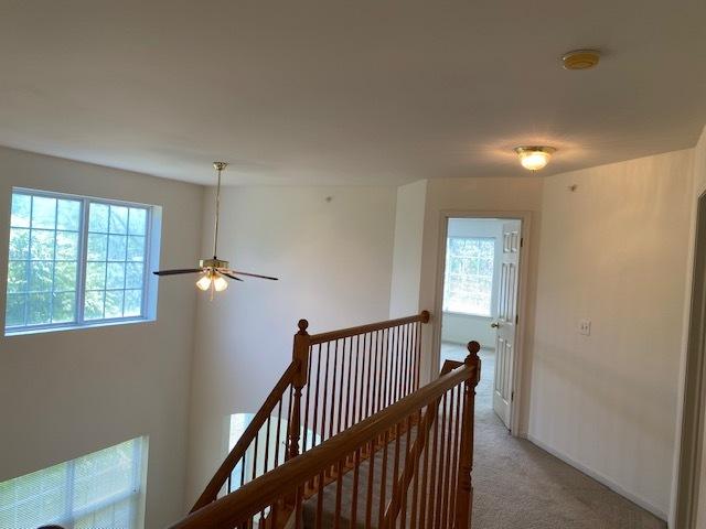 1830 Maureen Dr, Hoffman Estates, IL 60192 - hallway with an upstairs landing and light colored carpet