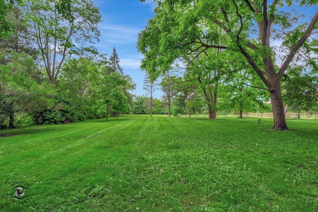 352 Rye Rd, Mundelein, IL 60060 - view of grassy yard