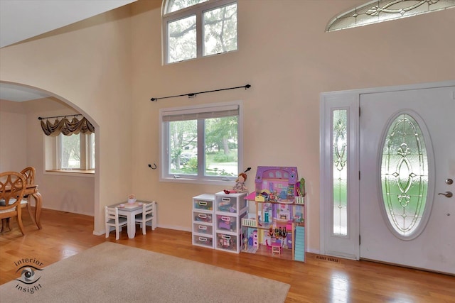 352 Rye Rd, Mundelein, IL 60060 - foyer entrance featuring healthy amount of natural light, arched walkways, wood finished floors, and a high ceiling